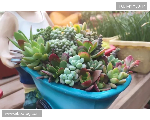 凯发手机会员登录流程详解助你轻松掌握登录技巧 凯发手机会员登录流程详解助你轻松掌握登录技巧